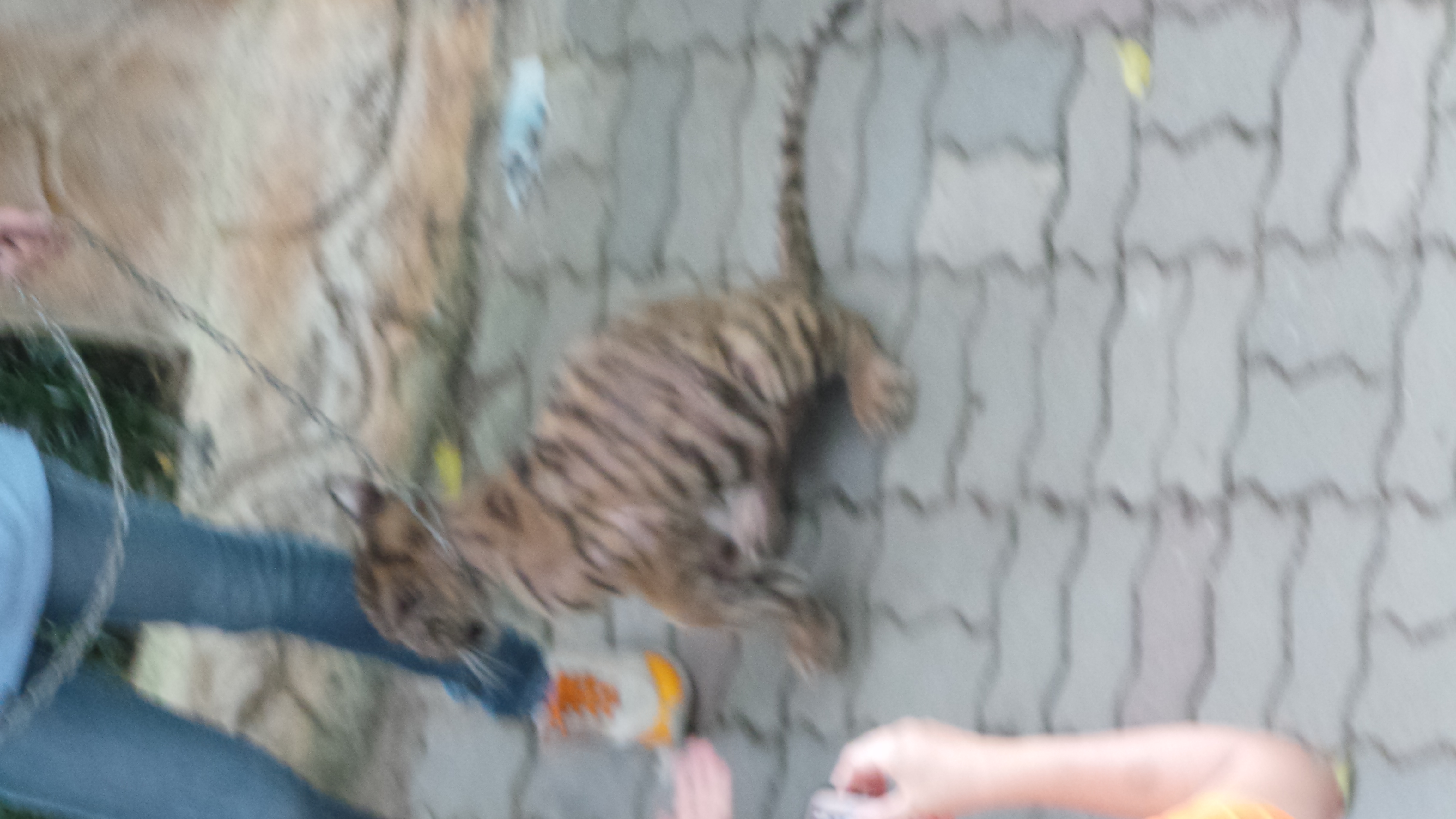 20140807 094400