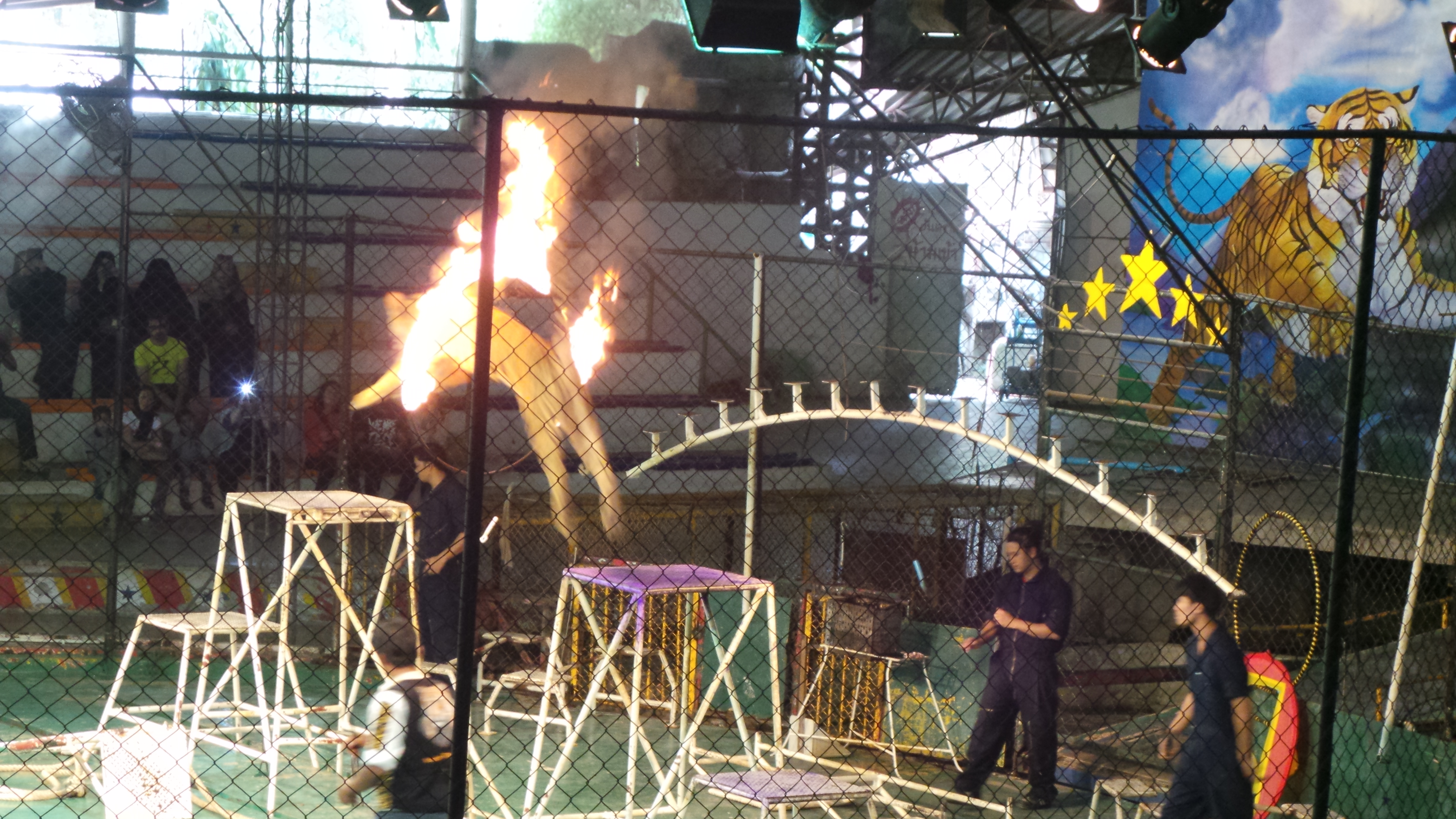 20140807 111831